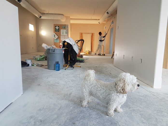 How Much Do Home Renovations Cost