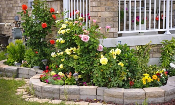 How to Design a Rose Garden-min