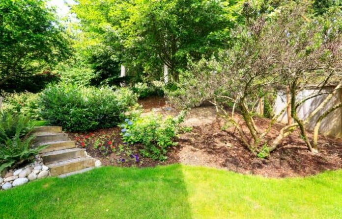 Landscaping Inspiration Ideas